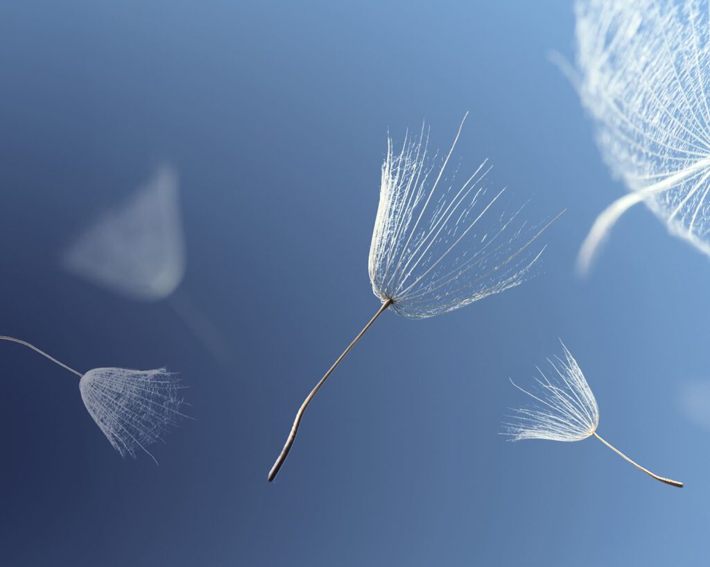 Face au deuil, quels accompagnements ?